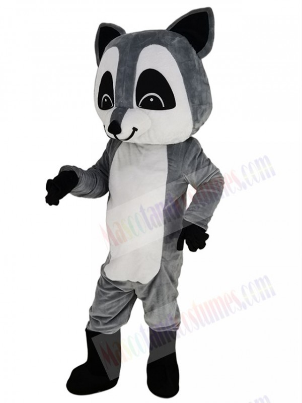 Raccoon mascot costume