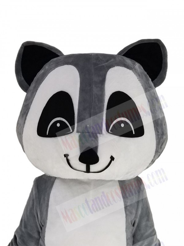 Raccoon mascot costume