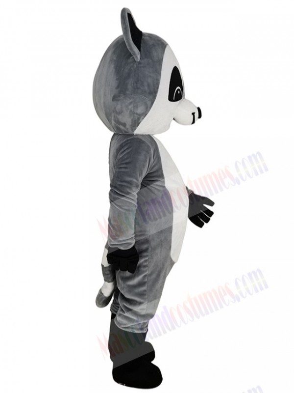 Raccoon mascot costume