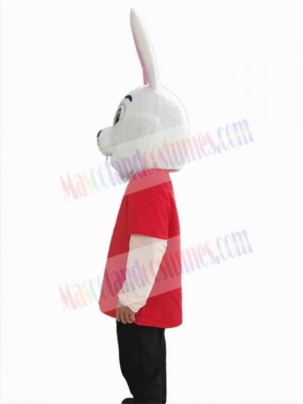 Easter Bunny Rabbit mascot costume