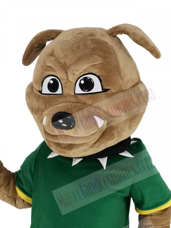 Bulldog mascot costume