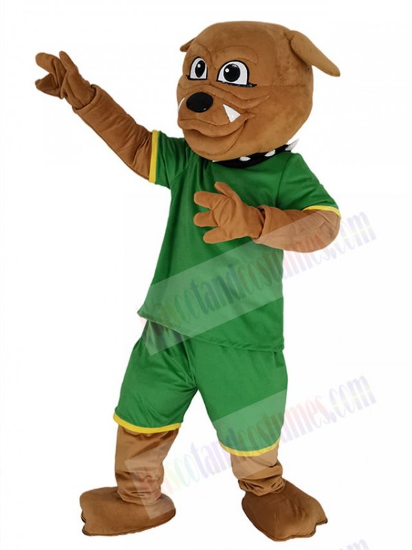 Bulldog mascot costume