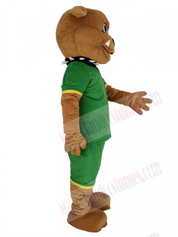 Bulldog mascot costume