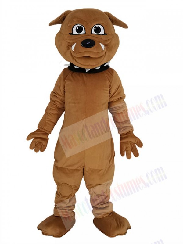 Bulldog mascot costume