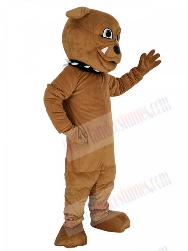 Bulldog mascot costume
