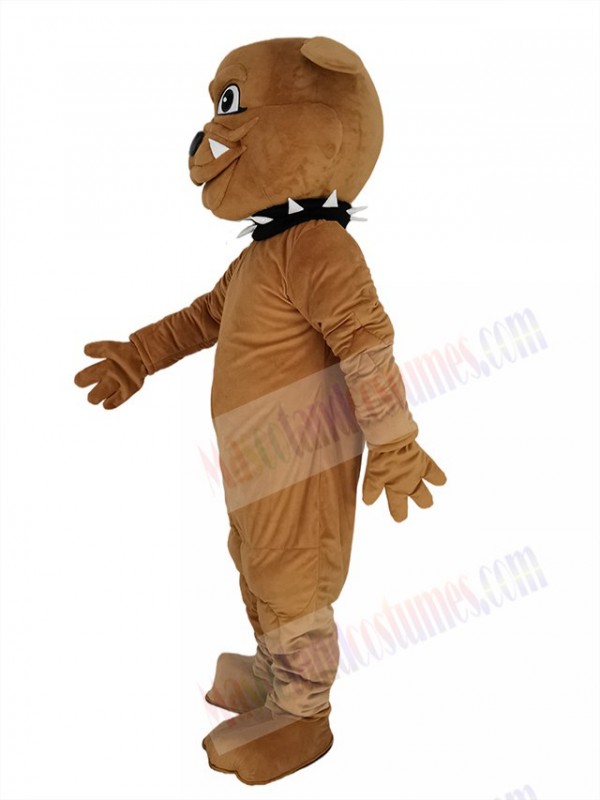 Bulldog mascot costume