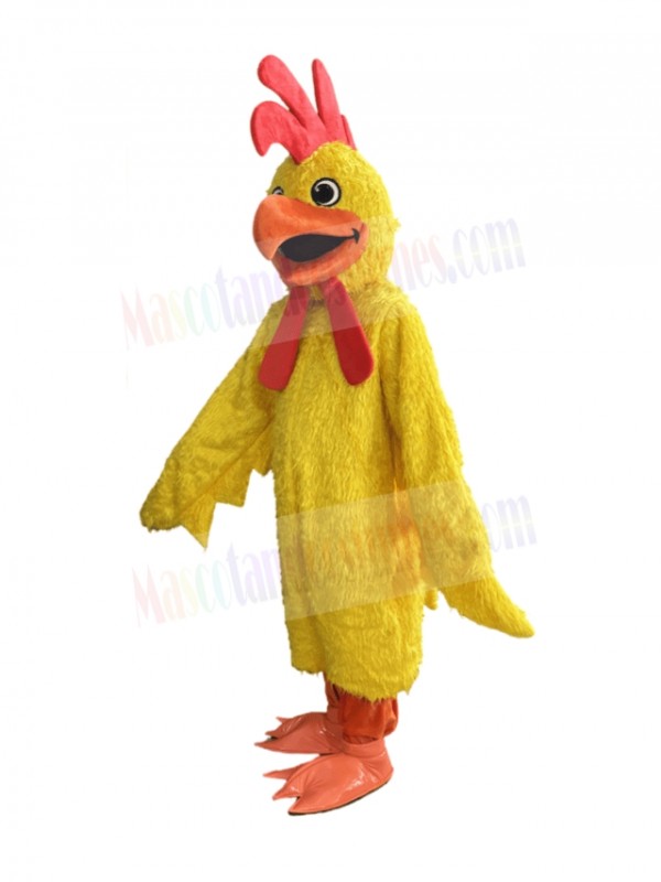 Chicken mascot costume