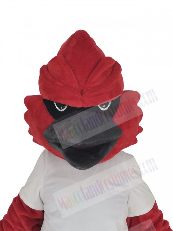 Cardinal mascot costume