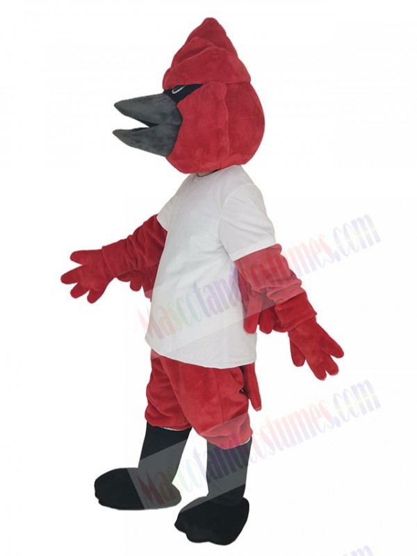 Cardinal mascot costume