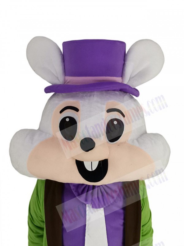 Easter Bunny mascot costume