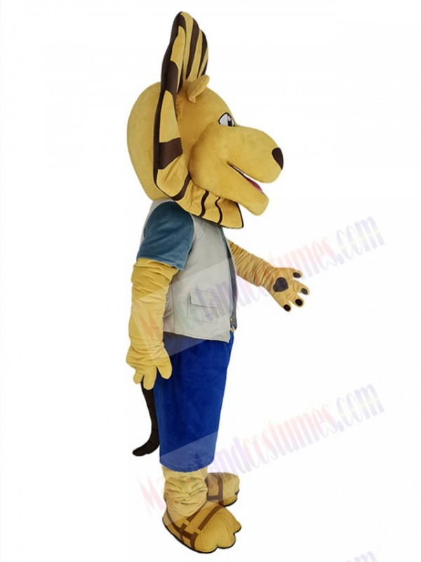 Lion mascot costume