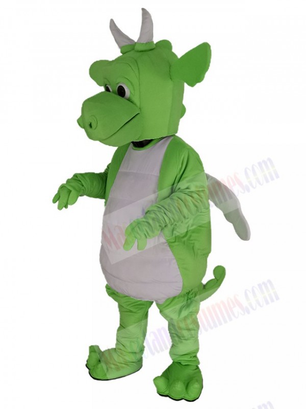 Dragon mascot costume