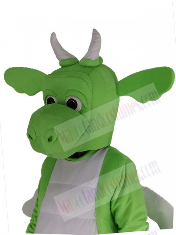 Dragon mascot costume