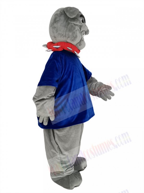 Bulldog mascot costume