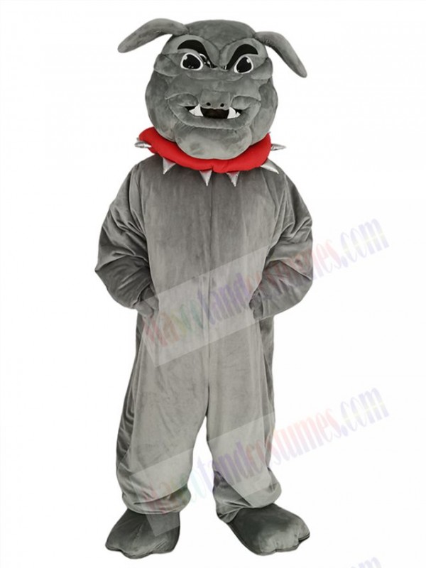 Bulldog mascot costume
