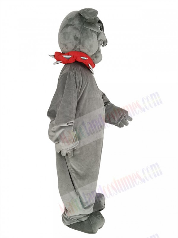 Bulldog mascot costume