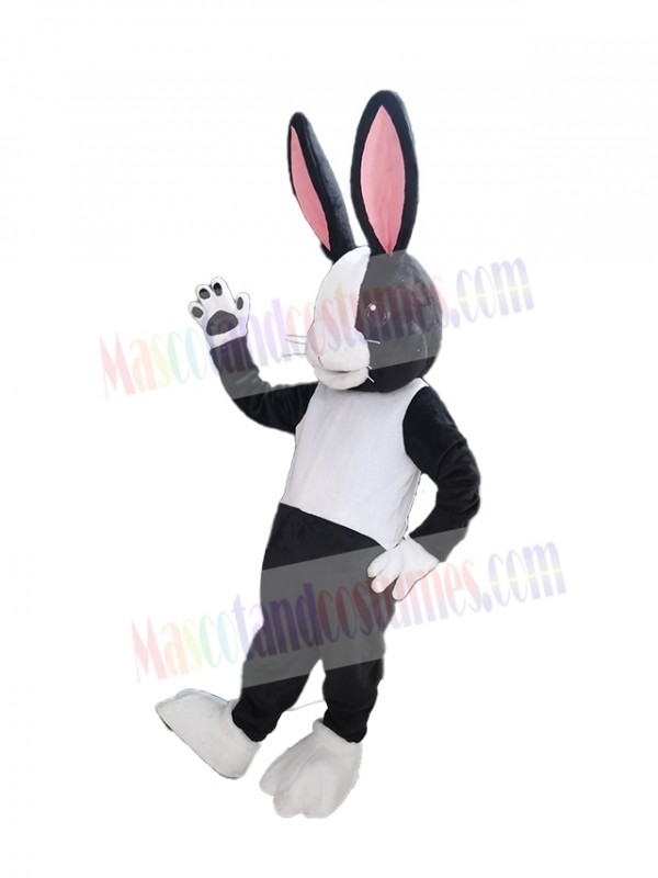 Easter Bunny Rabbit mascot costume