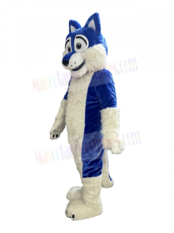 Wolf mascot costume