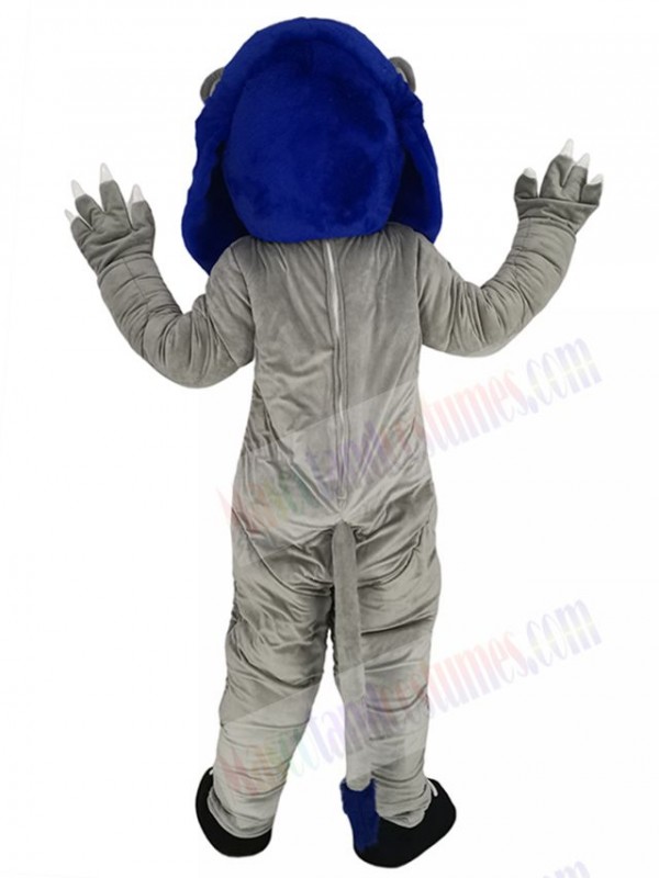 Lion mascot costume
