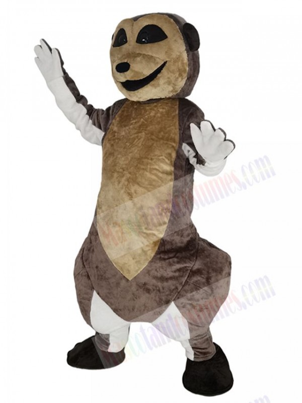 Meerkat mascot costume