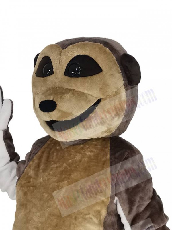 Meerkat mascot costume