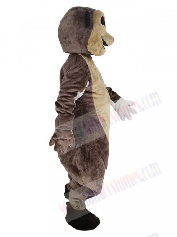 Meerkat mascot costume