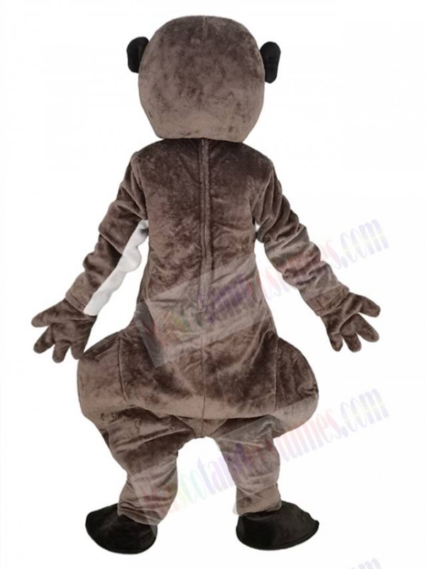 Meerkat mascot costume