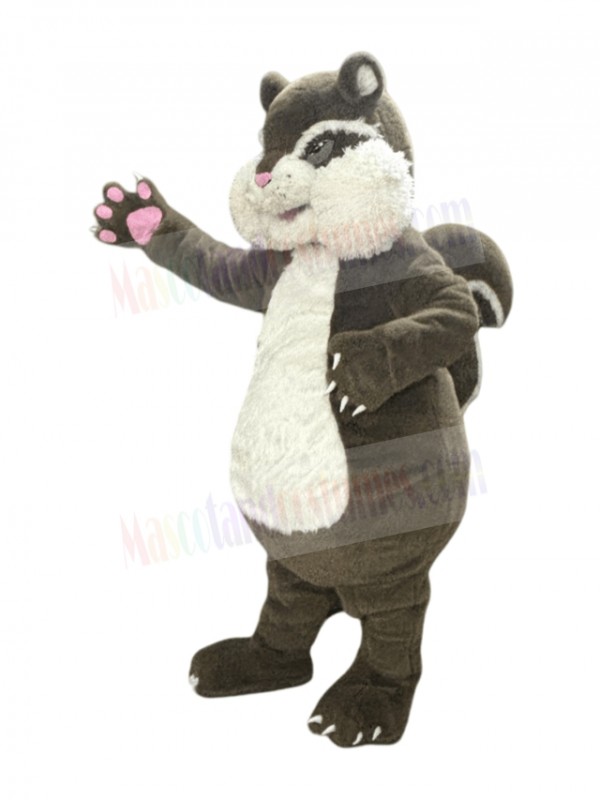 Squirrel mascot costume