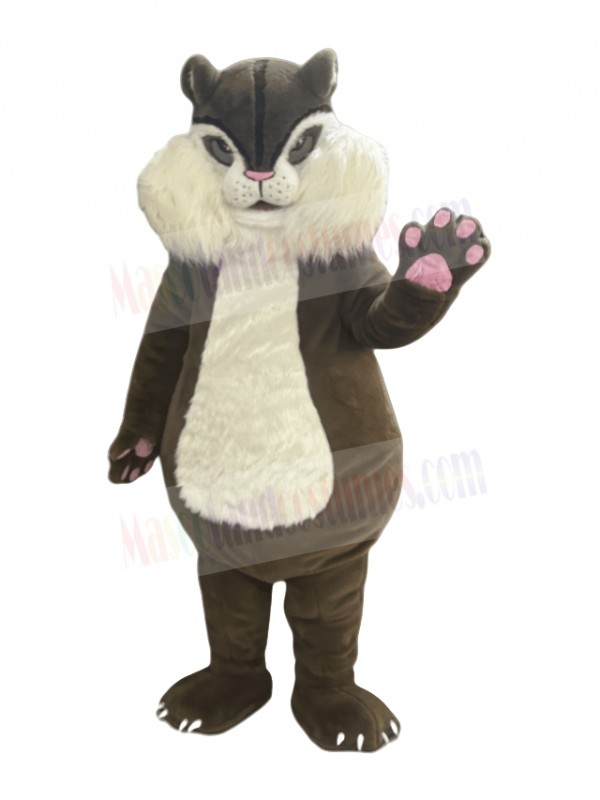 Squirrel mascot costume