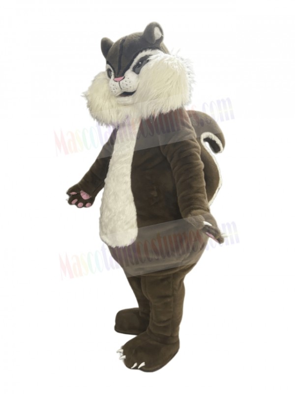 Squirrel mascot costume