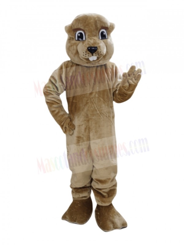 Groundhog mascot costume