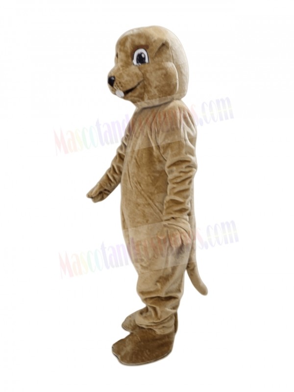 Groundhog mascot costume