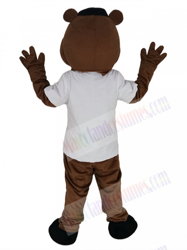 Bear mascot costume