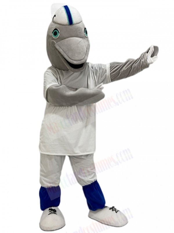 Dolphin mascot costume