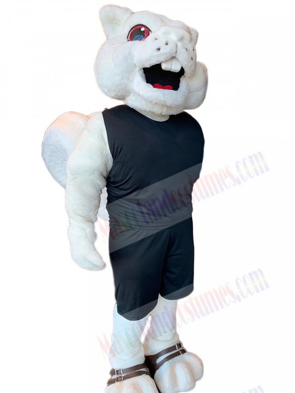 Squirrel mascot costume