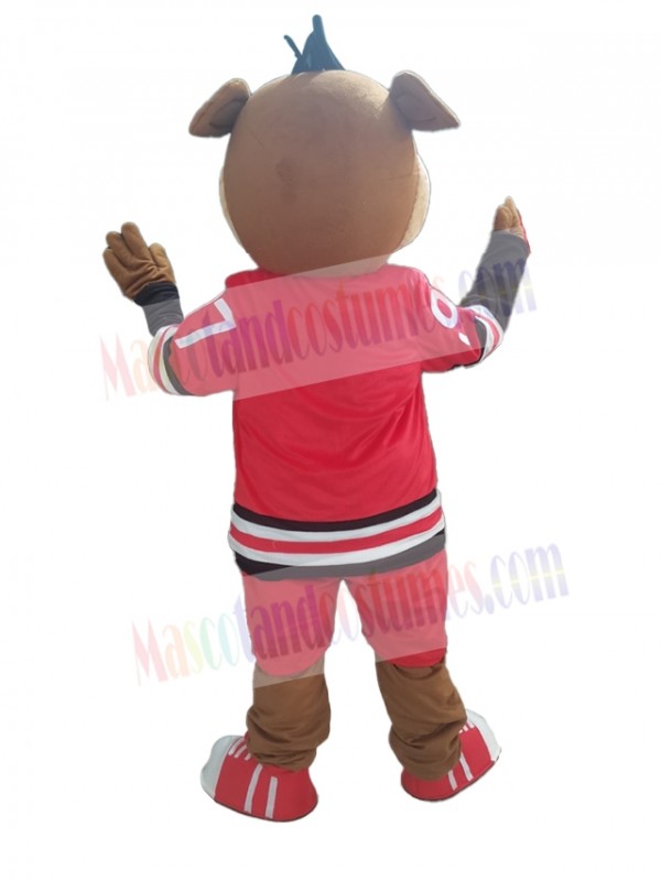 Boar mascot costume
