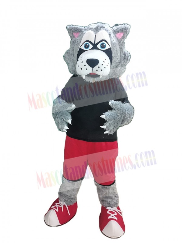Wolf mascot costume