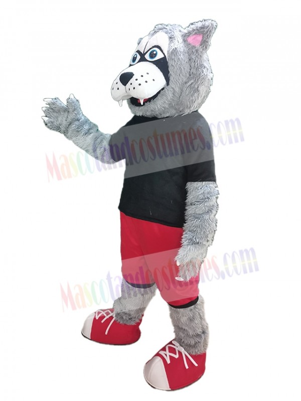 Wolf mascot costume