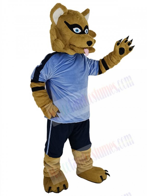 Raccoon mascot costume