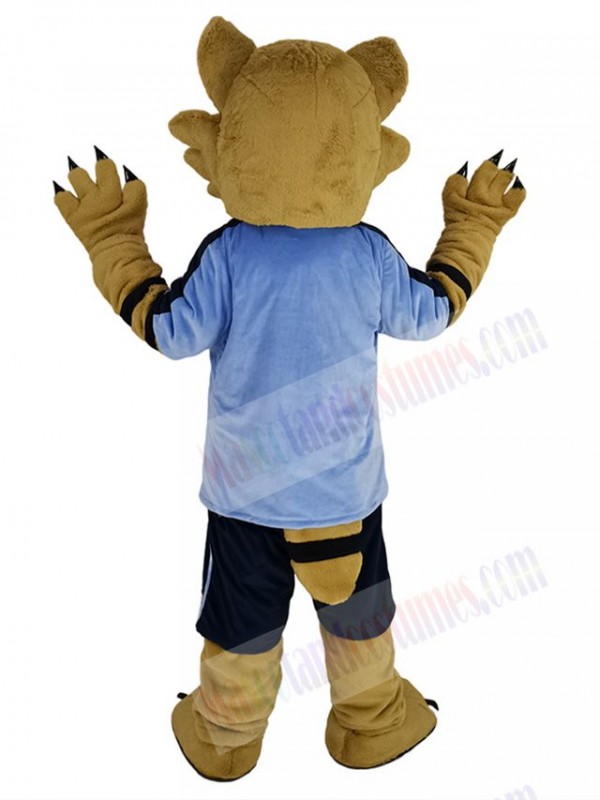 Raccoon mascot costume