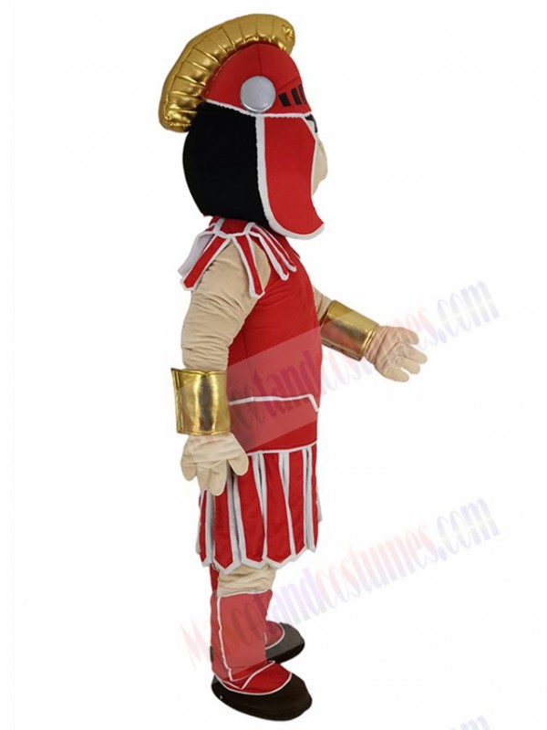 Knight mascot costume