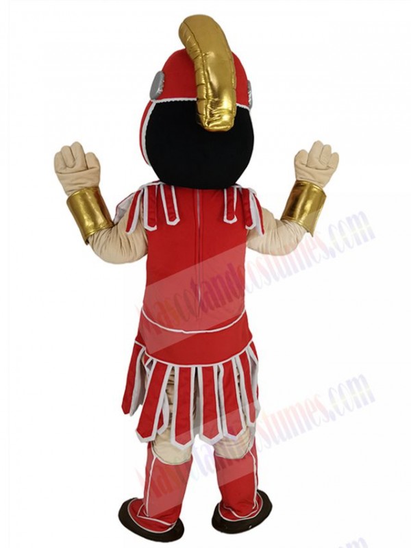 Knight mascot costume
