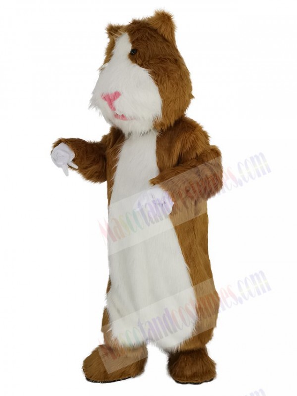 Hamster mascot costume