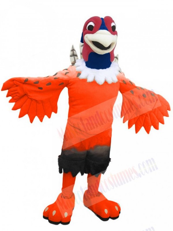 Pheasant mascot costume