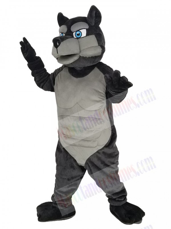Wolf mascot costume