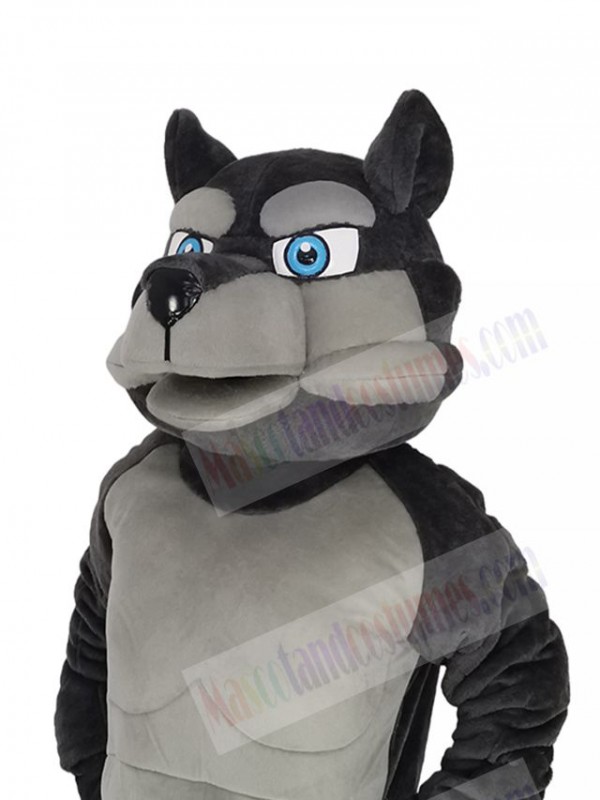 Wolf mascot costume