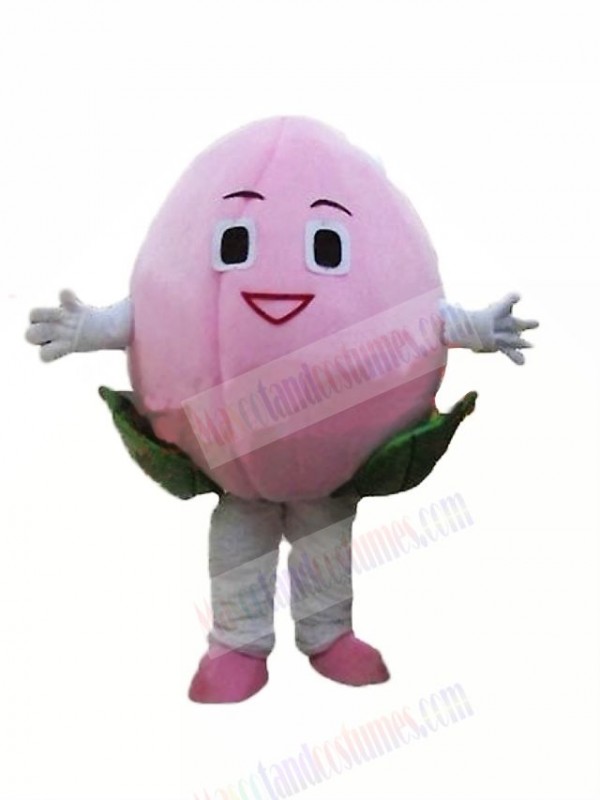 Cheap Peach Mascot Costume Cartoon
