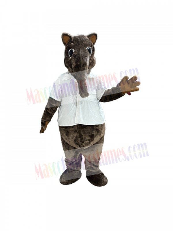 Anteater mascot costume