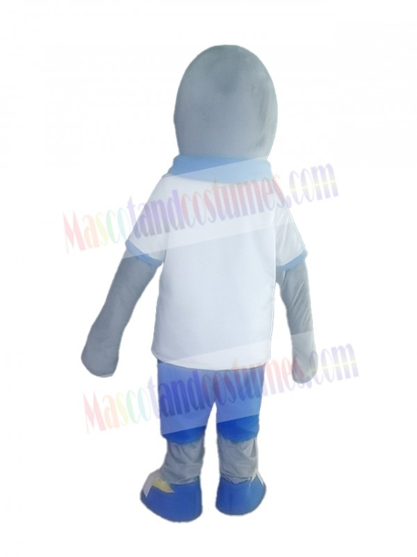 Dolphin mascot costume