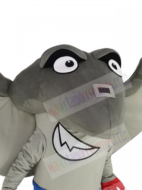 Mascot giant stingray, gray and white, in sportswear